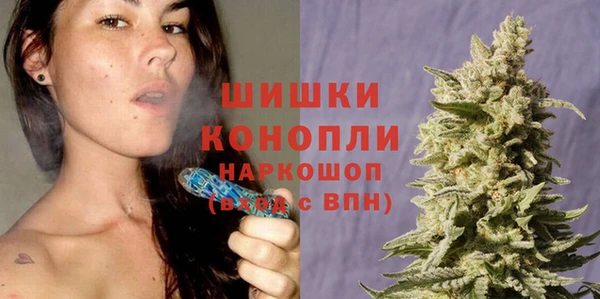 прущие крисы Белокуриха