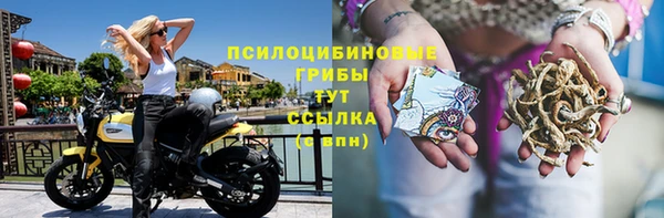 прущие крисы Белокуриха