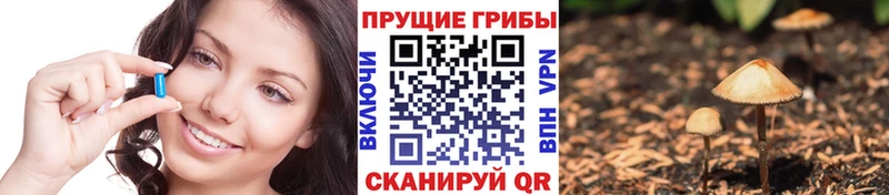 где можно купить наркотик  Железногорск-Илимский  Псилоцибиновые грибы мухоморы 